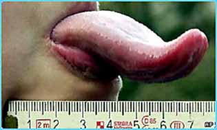 Ttt%20tongueruler300