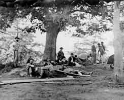 154%2003%20proza%20lujanovic