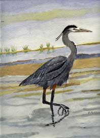 156%2014%20great%20blue%20heron