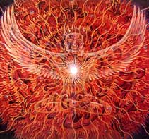 Ttt%20grey hly fr%20copy