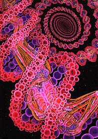 Ttt%20grey journey%20copy%202