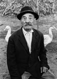 180%2044%20melenci%201967.