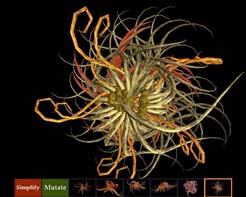 208%2009%20fritz%20slike%202