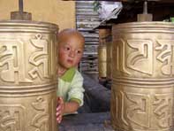 229%2010%20 %20mladi%20tibetanac