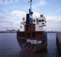 234%2013 slice of reality