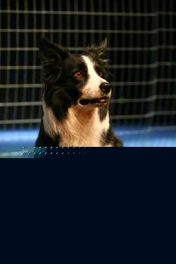 242 27 fotka%20uz%20serjanovica