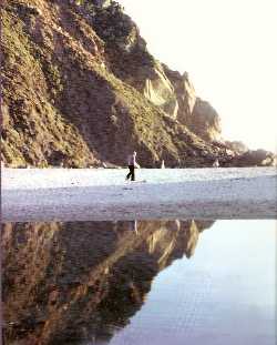 244 11 temat deleuze tekst