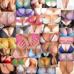 247 21 245 bussel%202