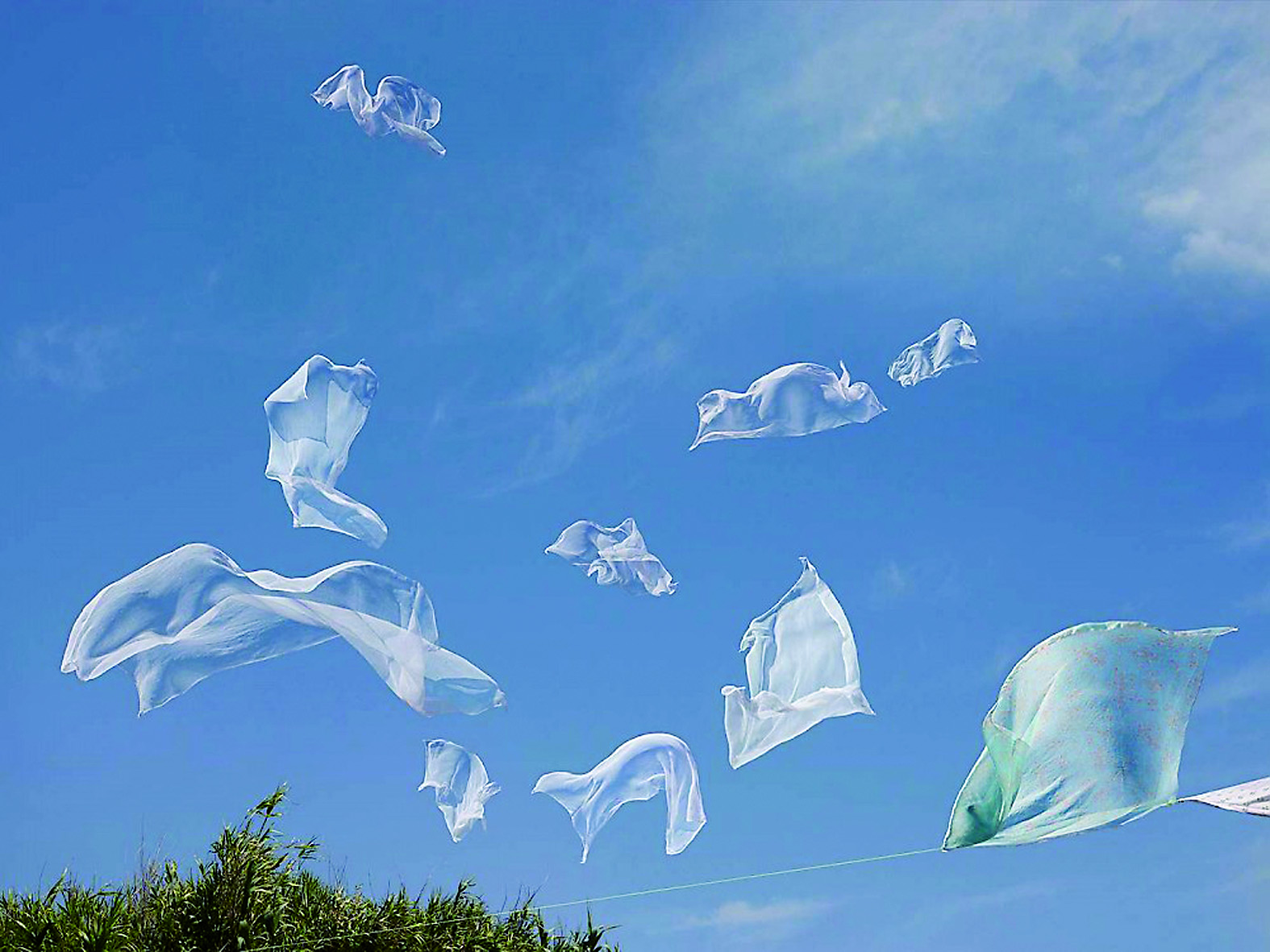 420 21 09 zanko foto 1