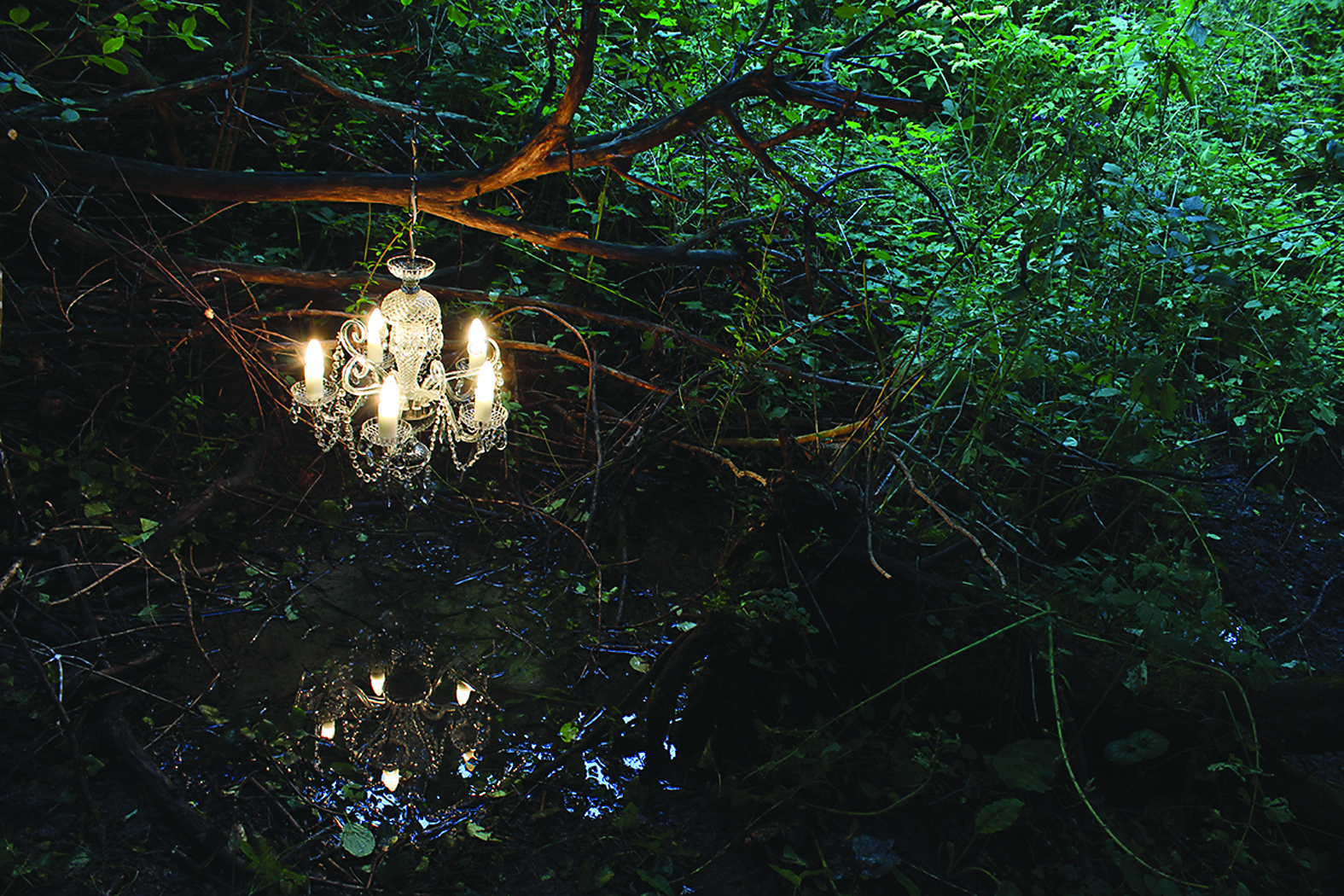 417 12 bertek foto 1